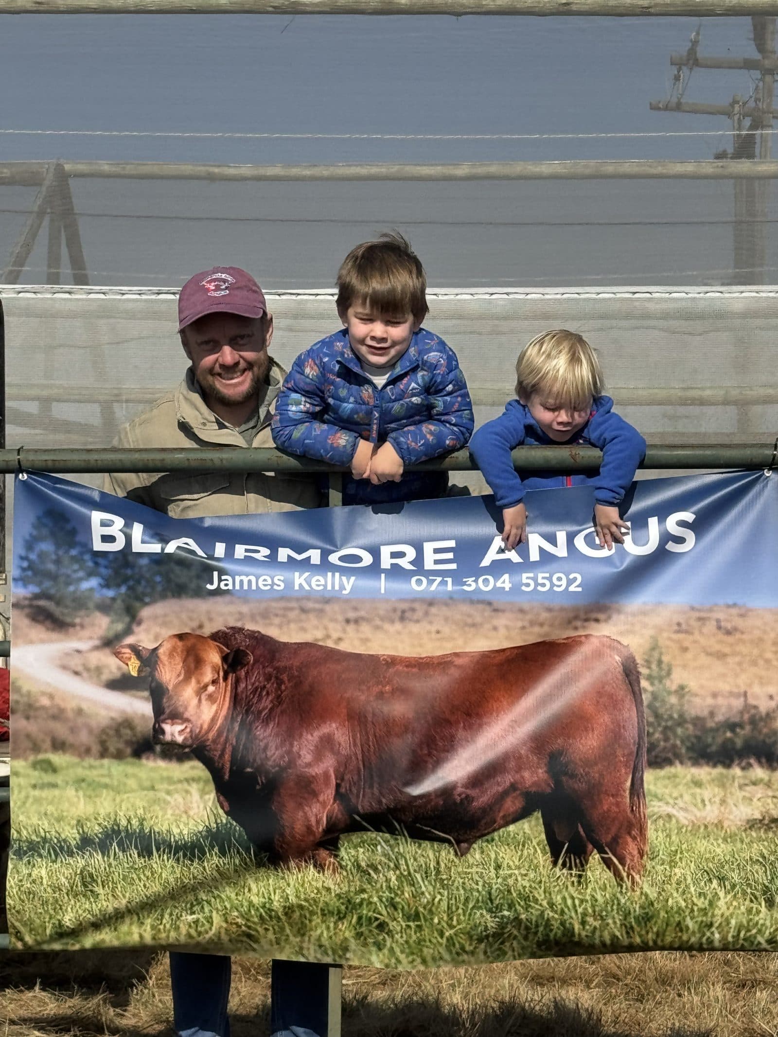 Netherwood Angus Sale poster