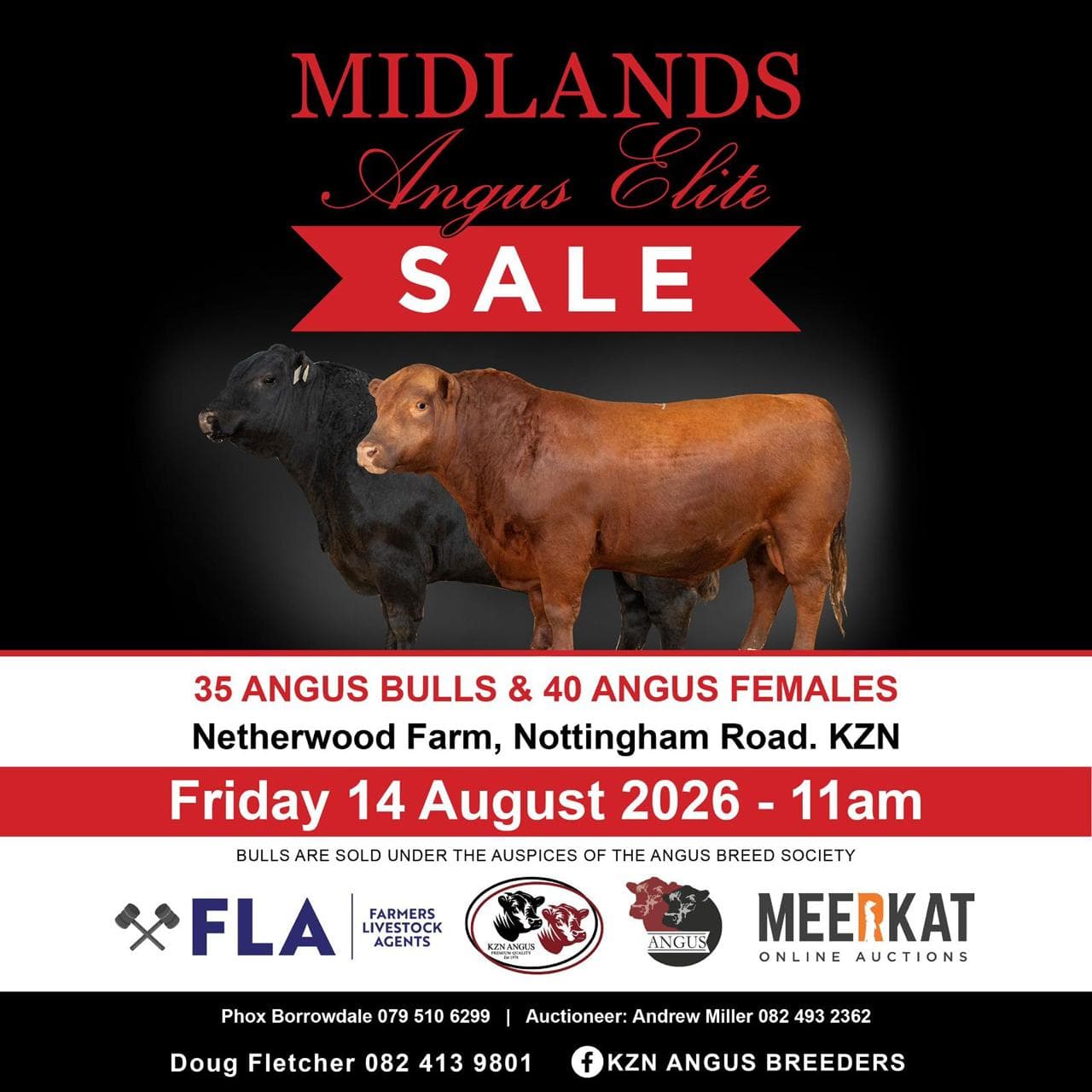 Netherwood Angus cattle sale