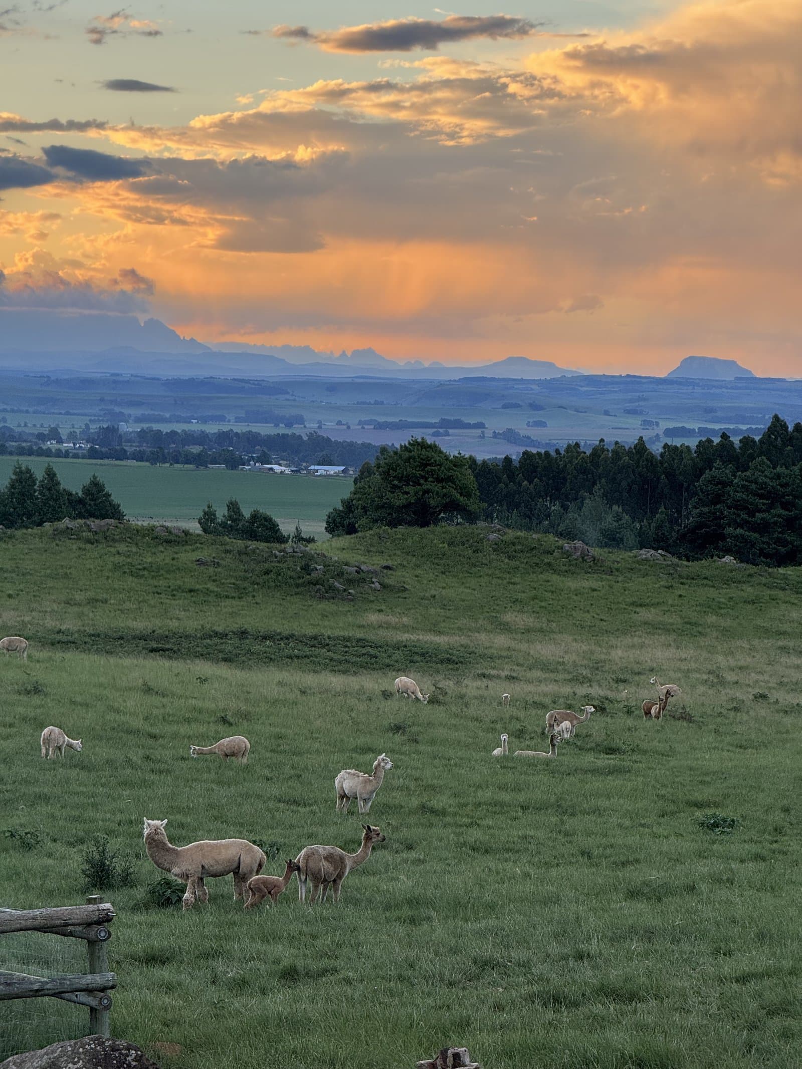 Explore the Farm at Netherwood