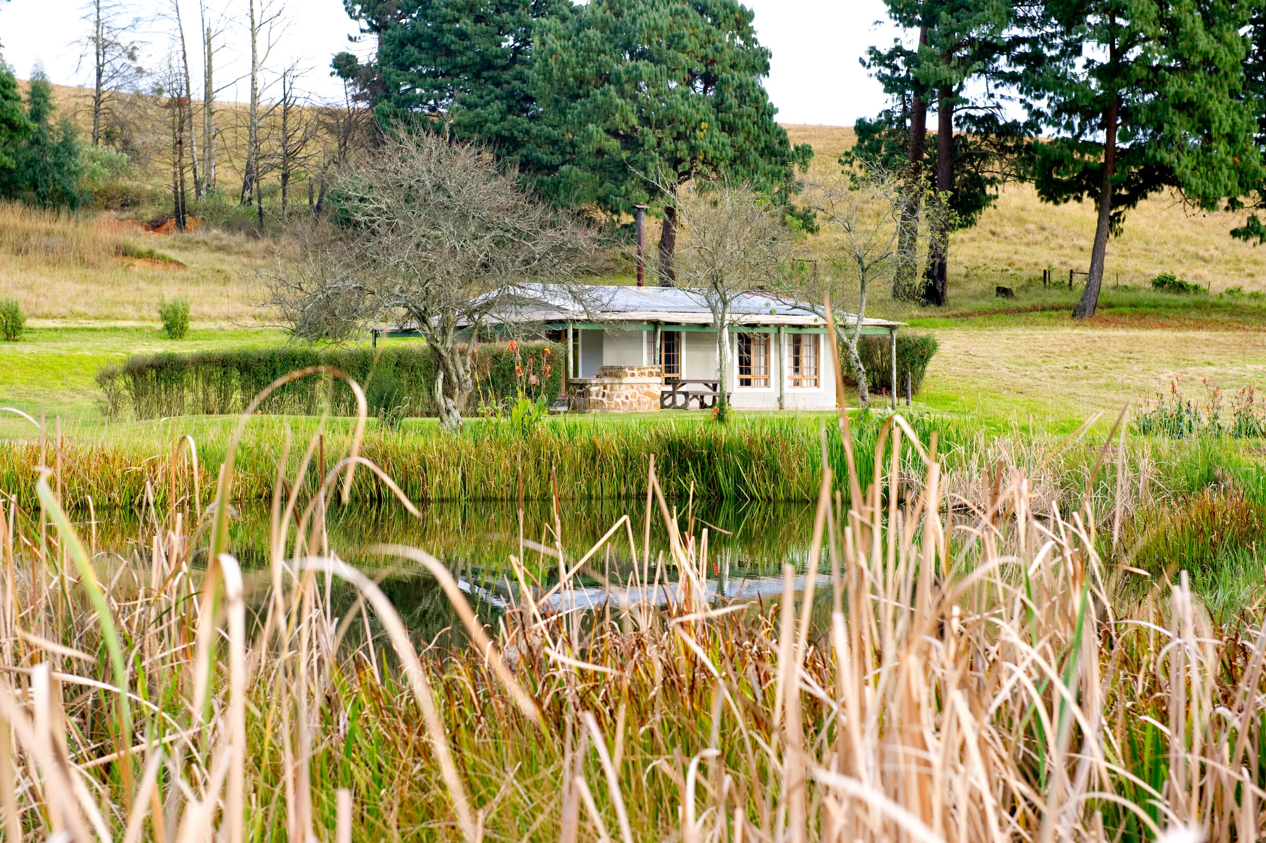 Cottage beside the trout dam at Netherwood Farm